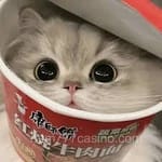 Avatar Michelle Paredes